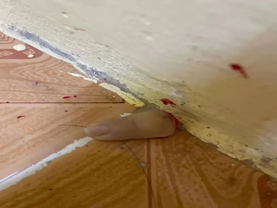 tortura